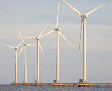 an-offshore-wind-ecosystem-fund-of-5-million-has-been-announced